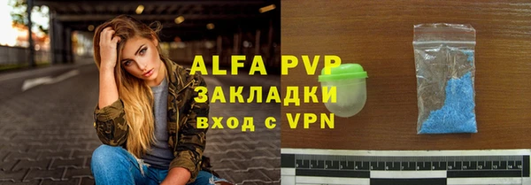 хмурый Аркадак