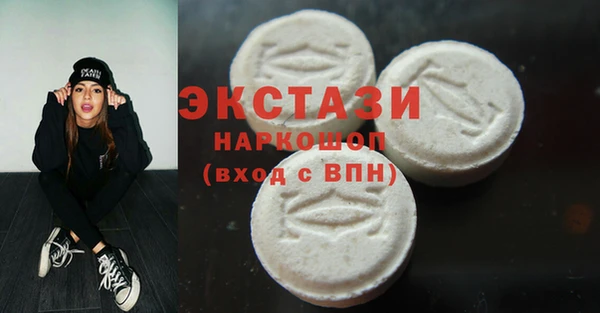хмурый Аркадак