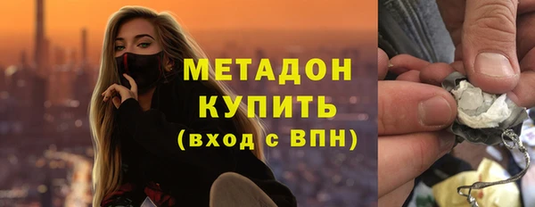 хмурый Аркадак