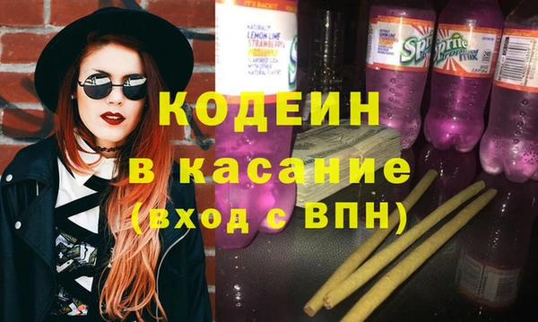 хмурый Аркадак