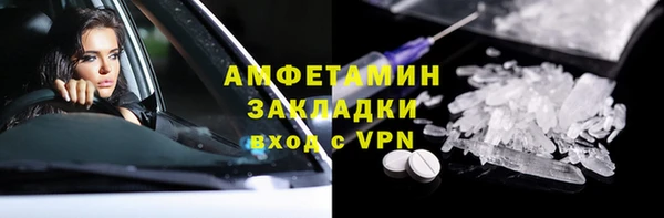 хмурый Аркадак