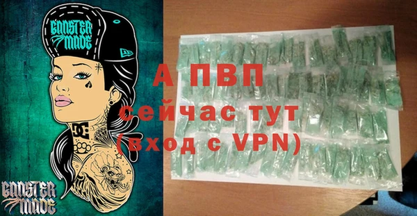 хмурый Аркадак
