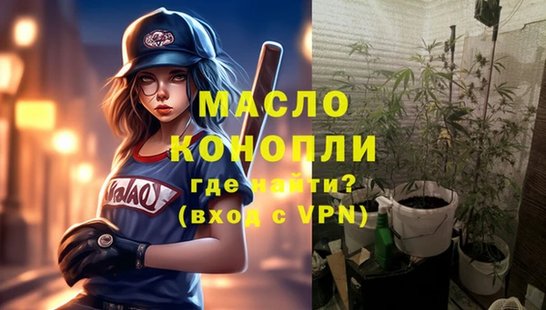 хмурый Аркадак