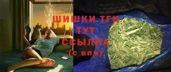 хмурый Аркадак