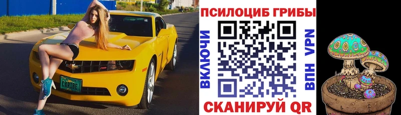 Галлюциногенные грибы прущие грибы  darknet как зайти  Мелеуз  купить наркотик 